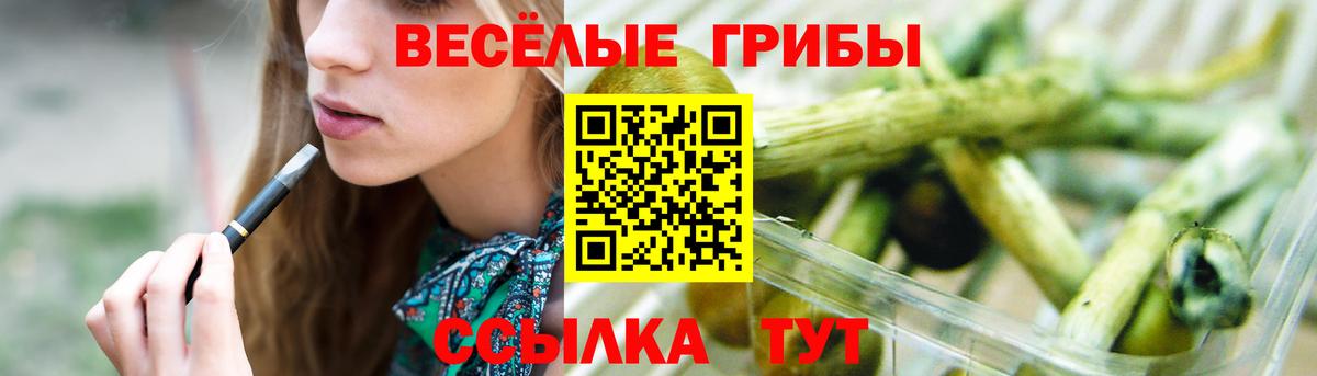 Рыбинск  Галлюциногенные грибы Psilocybine cubensis  Псилоцибиновые грибы прущие грибы  Вход с VPN 